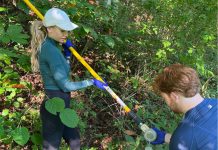 Monitoring AMR in water to reduce the spread of infection AMR in water