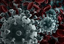 From Disease X to pandemics: The urgent need for new solutions From Disease X to pandemics: The urgent need for new solutions