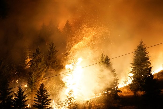 $72m WildFireSat constellation to tackle Canadian wildfires from space