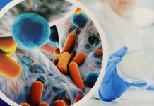How diabetes fuels antibiotic resistance: What you need to know antibiotic resistance