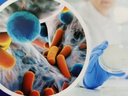 antibiotic resistance