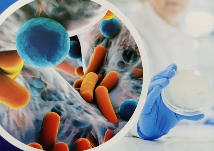 antibiotic resistance