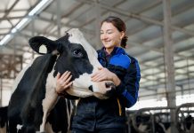 Advancing sustainability in the animal health sector: The role of research in dairy industry decarbonisation dairy industry