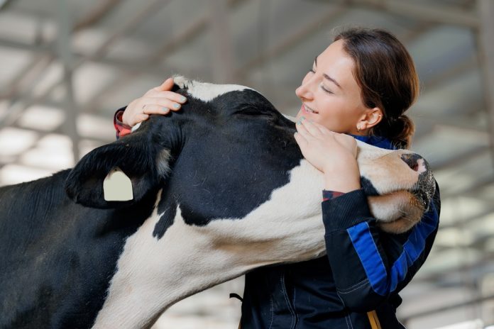 The role of complementary and alternative medicines in dairy farming