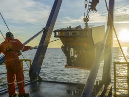 renewable energy firms