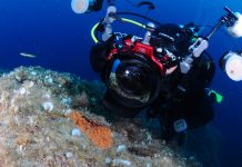 Innovating biological marine observation systems marine observation