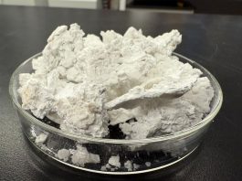 carbon-negative building material