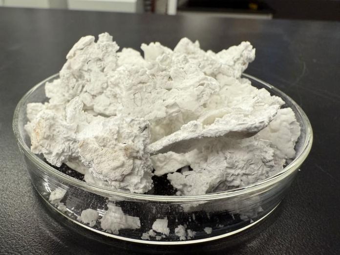 carbon-negative building material