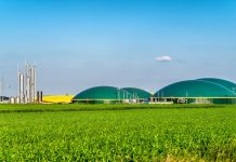 Biomethane: An overlooked resource in the UK energy debate? biomethane