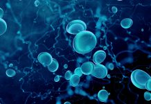 NHS patients receive first home-grown blood plasma treatment blood plasma