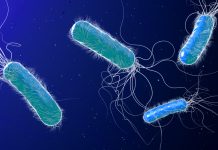 New CRISPR-based method enhances detection of antibiotic resistance genes in wastewater antibiotic resistance