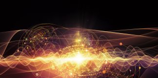 quantum fields, elementary particles