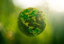 Corporate decarbonisation: A strategic imperative for a sustainable future decarbonisation