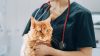TriviumVet’s felycin®-CA1 granted conditional FDA approval for feline hypertrophic cardiomyopathy treatment TriviumVet’s felycin®-CA1 granted conditional FDA approval for feline hypertrophic cardiomyopathy treatment