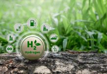 Revolutionary catalyst slashes green hydrogen production costs green hydrogen