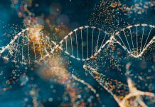 New study shows DNA sequencing reduces diagnosis times and curbs AMR dna sequencing