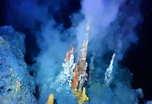 New study reveals the impact of deep sea mining on marine ecosystems deep sea mining