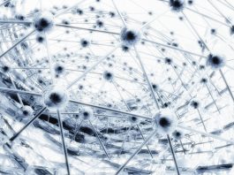 cold atoms, quantum computing