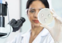 Combating antimicrobial resistance in the UK and worldwide antimicrobial resistance