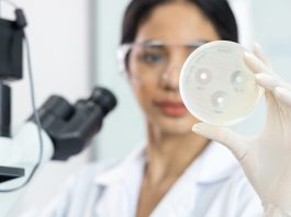 antimicrobial resistance