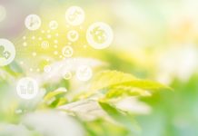 The hidden threat of AMR in the environment amr