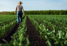 ReLEAF: Revolutionising bio-based fertiliser production from waste streams across Europe