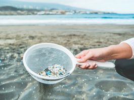 microplastic pollution