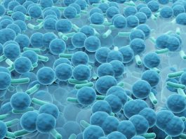 bacteria, antimicrobial coating