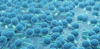 bacteria, antimicrobial coating