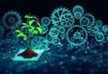 How engineering biology promotes a sustainable planet engineering biology