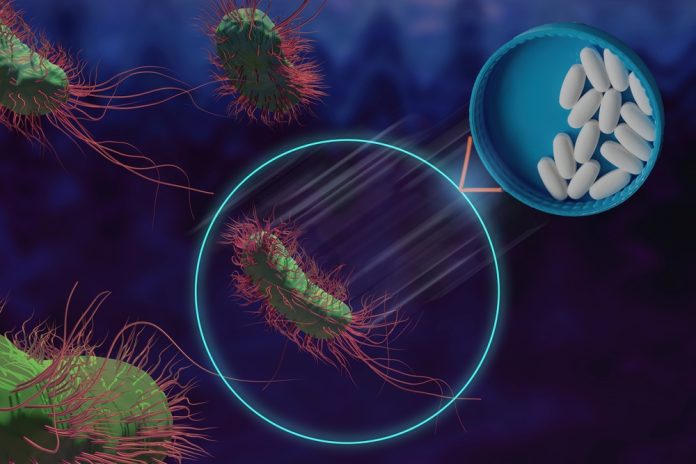 antibiotic-resistant bacteria