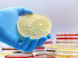 Bacterial evolution roadmap unlocks precision medicine to fight AMR