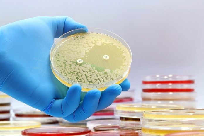 Bacterial evolution roadmap unlocks precision medicine to fight AMR