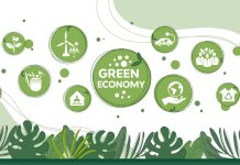 Unlocking bio-based materials innovation through the INN-PRESSME OITB and its Single-Entry Point bio-based materials