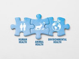 one health, who pandemic agreement