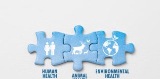 one health, who pandemic agreement