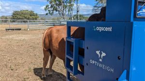 methane-sensing technology