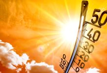 Europe’s hottest year on record: Insights from the latest ESOTC report climate change