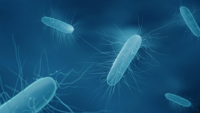 c. difficile infections