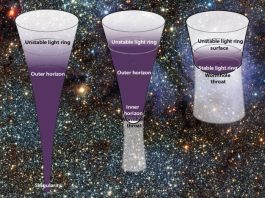 Singular black hole and non-singular alternatives