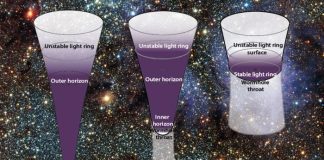 Singular black hole and non-singular alternatives