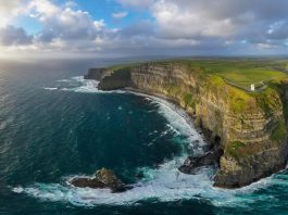 nature-inspired solutions