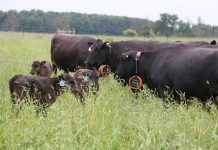 The precision farming ecosystem changing how the world farms precision farming