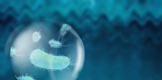 bacterial resistance