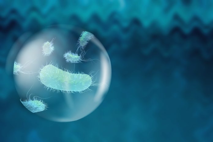 bacterial resistance