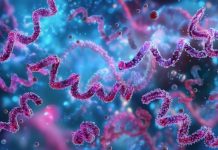 Global study shows countries can reduce antibiotic resistance individually antibiotic resistance