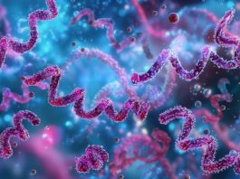 antibiotic resistance