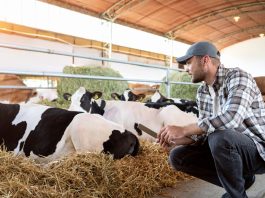 animal methane emissions