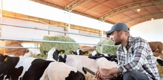 animal methane emissions