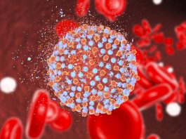 hepatitis c, infected blood